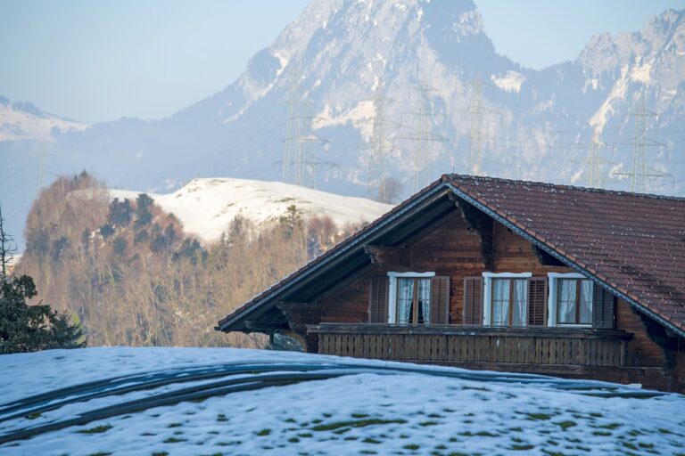 Garage Door Windows: Adding Light and Style to Your Garage